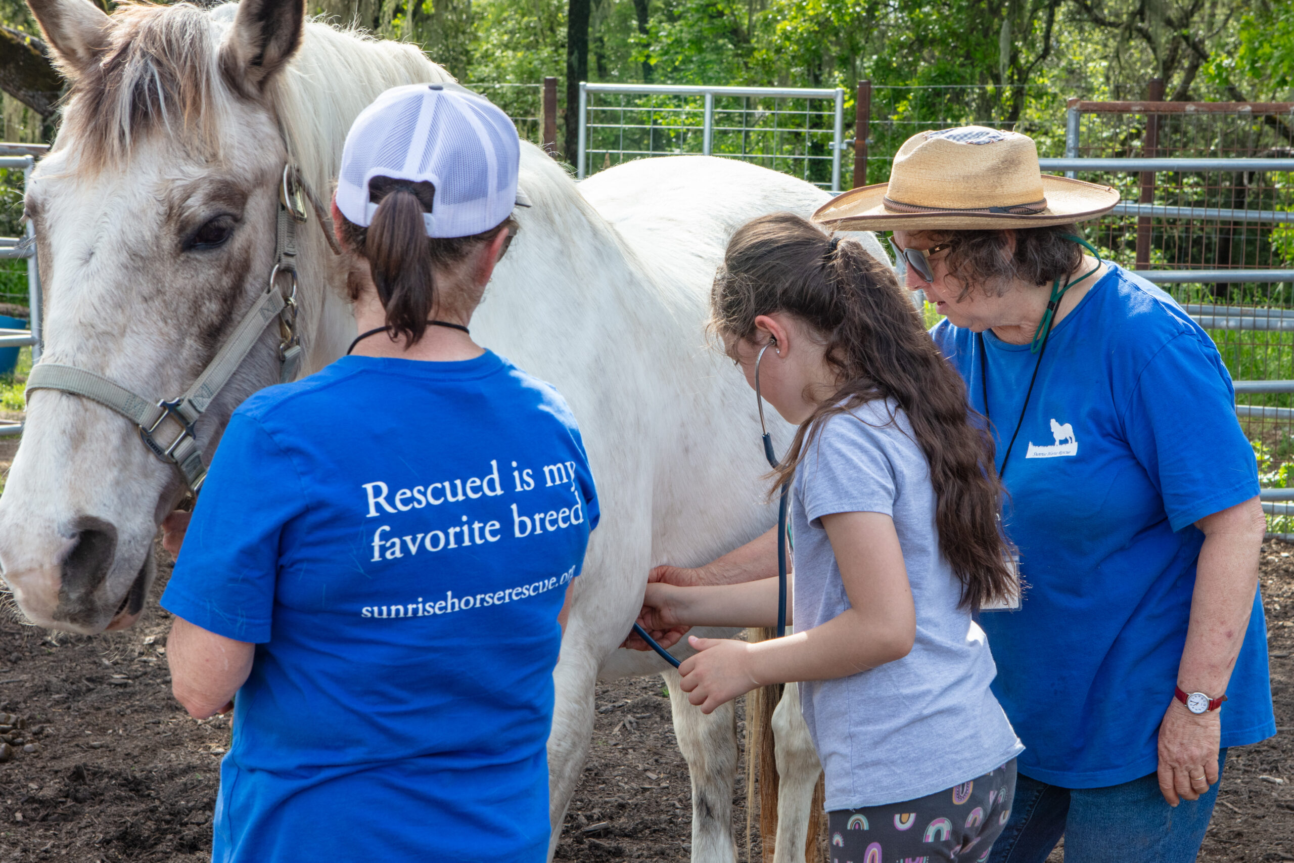 People caring for a horse in a shelter.