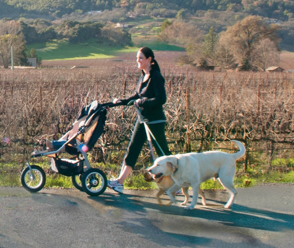 Woman walking dog with stroller in countryside