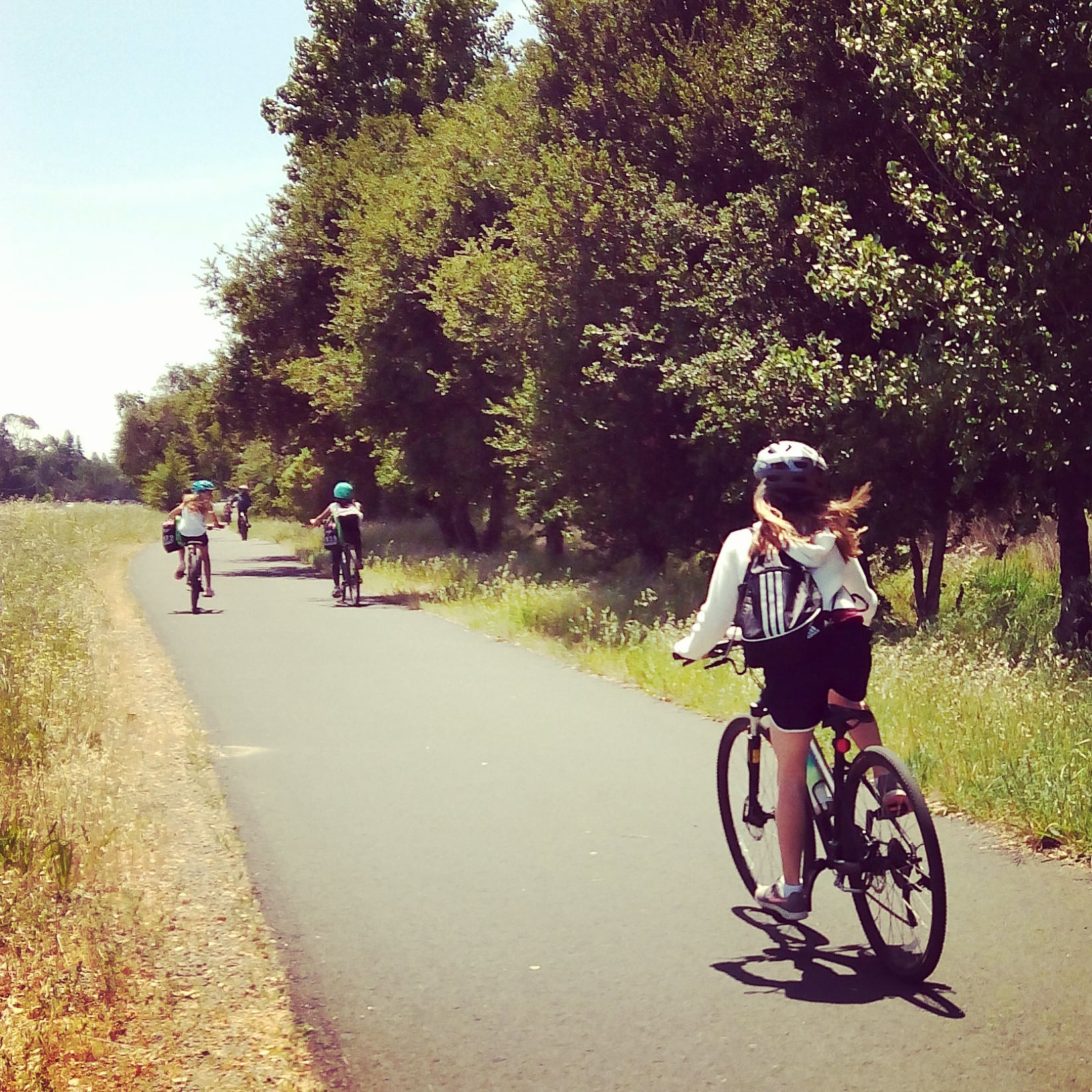 napa valley vine trail coalition
