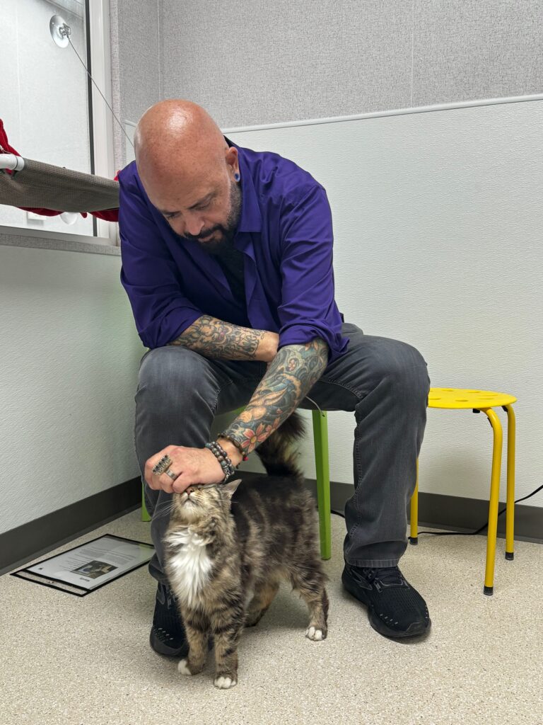 Man petting a fluffy cat in a room.