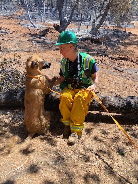 napa community animal response team (cart)