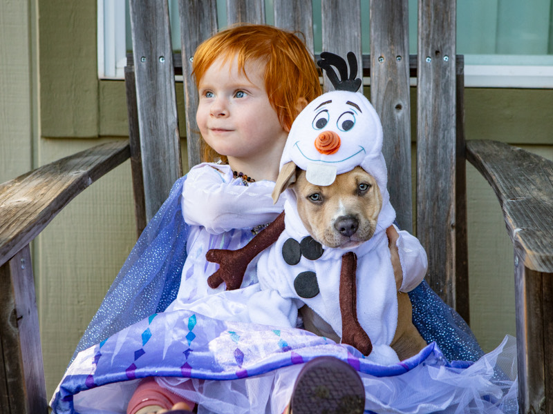 Child and puppy in winter costumes seated on chair.